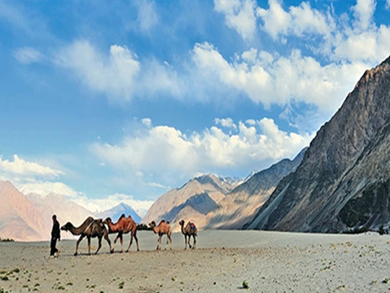 Magical ladakh